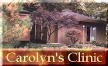 Carolyn's Clinic