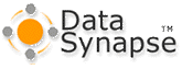 DataSynapse, Inc.