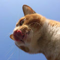 58_avatar_middle.jpg