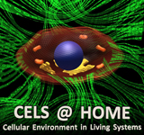 Cels at Home Logo.jpg