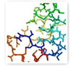 Hbond helix 0 sm.gif