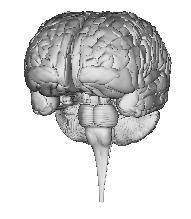 MindModeling@Home logo