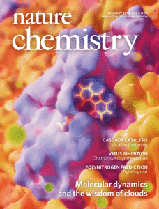 Nature Chemistry Dec 20,2013.gif