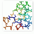 Hbond helix 0 sm.gif