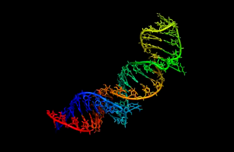 文件:RNA World (beta).png