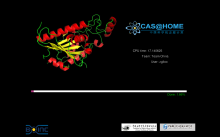 CAS@home 运行中的图形界面