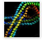 Human Proteome