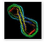 Human Proteome